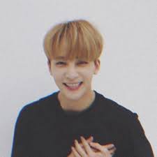 Vitamins Vitamins Icon Icon Vitamins Vitaminsicon Jeonghan Won Woo K Idols