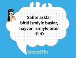 Veli Oflaz Adli Kullanicinin Komik Panosundaki Pin Komik Hayvan Bitki