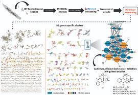 He studied at cambridge university before teaching english literature at various colleges. Computational Methods For Nmr And Ms For Structure Elucidation Ii Database Resources And Advanced Methods In Physical Sciences Reviews Volume 4 Issue 11 2019