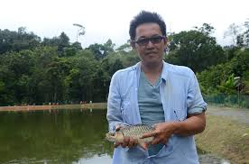 Ikan jelawat merupakan ikan yang. Info Spesies Kenali Ikan Jelawat Umpan