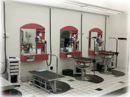 Professional groomers have the right tools approved by veterinarians which pave way for perfect grooming of your pet. Pet Grooming Salon Shop Spa Business Plans Dog Grooming Salons Pet Grooming Salon Dog Grooming