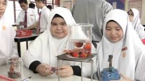 Minyak yang murah, mudah diproduksi dan sangat stabil ini digunakan untuk berbagai variasi. E Guru Sains Tingkatan 5 Proses Pengekstrakan Minyak Kelapa Sawit Youtube
