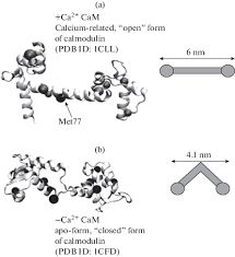 Amino Acid Classification – Mcat Biochemistry | Medschoolcoach