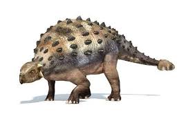 3d Rendering Of An Ankylosaurus Dinosaur Photographic Print Stocktrek Images Art Com In 2020 Dinosaur Posters Dinosaur Pictures Dinosaur