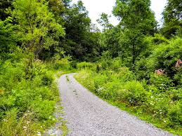 Canaan Valley National Wildlife Refuge West Virginia National Wildlife Refuge Canaan Valley Country Roads