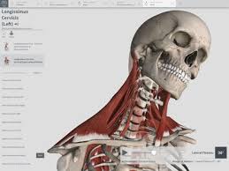 Access complete anatomy from all your compatible devices with a single annual subscription. Complete Anatomy 2018 Free Download And Software Reviews Cnet Download