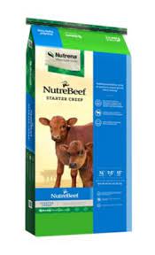 Jan 16, 2020 · enjoy teen tuesday #33 (50 pics) pictures and videos. Nutrebeef 14 Starter Creep Cattle Feed Pellets 50 Lb At Tractor Supply Co