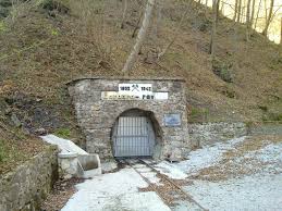 Rok Kokalj on X: "Barbara-rov http://t ...