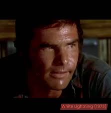 burtreynolds movies 🎬