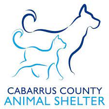 We did not find results for: Cabarrus County Animal Shelter Home Facebook