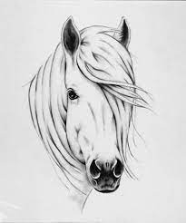 Horse Print 8 X10 White Horse Sketch Wild Horse Art Charcoal Horse Decor Horse Mane Farm Decor Farmhouse Art Eq Horse Sketch Horse Art Drawing Horse Art