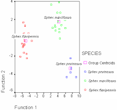 Chart Of Classification Results Download Scientific Diagram