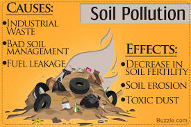 soil pollution causes and effects that are seriously eye opening