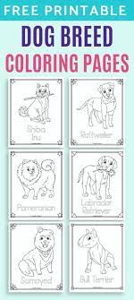 Dogs love to chew on bones, run and fetch balls, and find more time to play! 35 Free Printable Dog Breed Coloring Pages For Kids The Artisan Life
