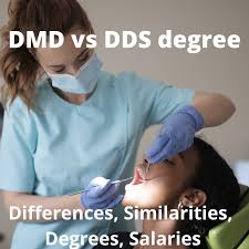 Check spelling or type a new query. Gelar Dmd Vs Dds Bedane Kamiripan Gelar Gaji Beasiswa Xs