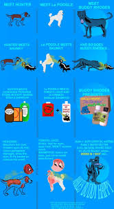 How To Get Rid Of Skunk Smell On A Dog The Housing Forum