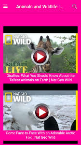 Documentales, reportajes y vídeos de national geographic. National Geographic Videos App For Android Apk Download