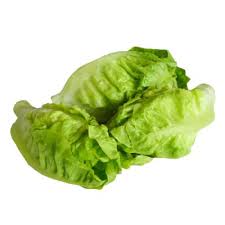 Pin On Leaf Lettuce