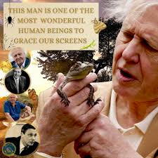 Sir David Attenborough inspires conservation at 99