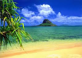 Maybe you would like to learn more about one of these? Wallpapers Hawaii Beach Wallpaper Cave