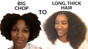 The relationship i had with my hair started off as a hate one, but then blossomed into one of love. Best Of 4 Years Natural Hair Free Watch Download Todaypk