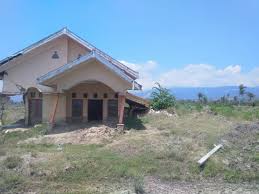 Pada dasarnya sketsa digunakan sebagai kerangka di dalam karya seni lukis. Setahun Gempa Palu Desa Bekas Likuifaksi Seperti Desa Mati Dunia Tempo Co