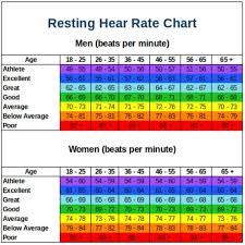 resting heart rate chart education subject