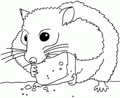 Check spelling or type a new query. Hamster Coloring Pages Coloring Home