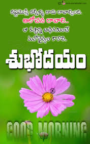 We did not find results for: Inspirational Good Morning Quotes With Flowers Hd Wallpapers Jnana Kadali Com Telugu Quotes English Quotes Hindi Quotes Tamil Quotes Dharmasandehalu