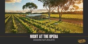 Night At The Opera