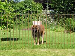 Related Post Danische Mobel Halstenbek 2018 Kenngott Treppen Preise 2018 Samsung Ue55ku6179uxzg 2018 Funktionsmantel Damen Wasserdicht 2018 Legionellenuntersuch