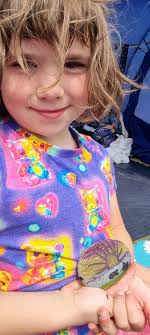 Welcome new members, let's hide rocks together