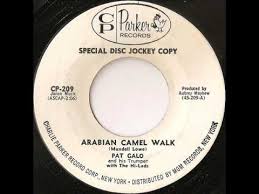 It was released on august 31, 1993 on cd and cassette by sbk records. Pat Galo And His Trumpet With The Hi Lads Arabian Camel Walk 1961 Vinyl Discogs