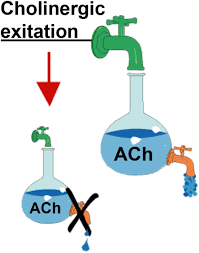 Image result for Cholinergic Toxicity