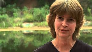 Studying Salamanders