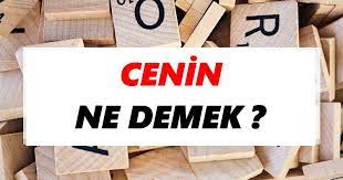 Embriyoloji, ceninin gelişmesini inceleyen bilim dalıdır. Cenin Ne Demek Tdk Ya Gore Cenin Sozluk Anlami Nedir Tdk Anlami Haberleri