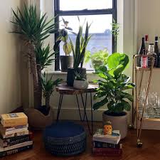 Why This Cozy Plant Filled Reading Corner Is The Best Part Of My Home Living Room Paint Interior Paint Colors Room Paint