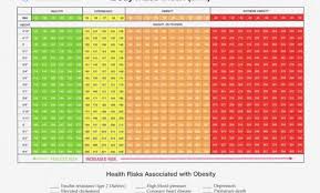 what is body fat percentage veritable muscle mass muscle