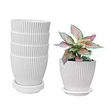 A drainage saucer or tray work most of the time, provided the plant pots has drainage holes. Plastic Flower Pots 6 Inch Planters With Drainage And Saucers For Indoor 12 Sets For Sale Online Ebay