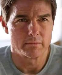 Shark cruising mainsail with luff slugs needed