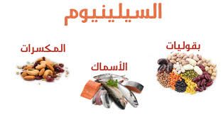 السيلينيوم والخصوبة للرجال والنساء ومصادره الغذائية موسوعة Food Animals Dog Food Recipes Place Card Holders
