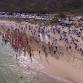 Gracetown Bay Swim event image