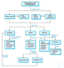 9 bagaimana merancang peta konsep 1. Bab 1 Pertumbuhan Dan Perkembangan United Science