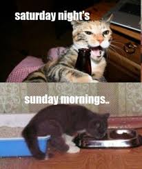 Funny Quotes About Sunday Nights. QuotesGram via Relatably.com