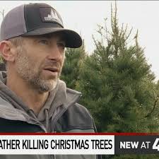 KATU severe weather killing trees