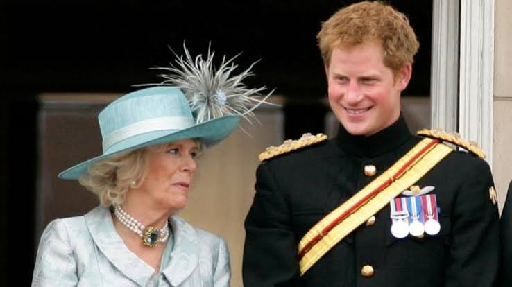 Prince Harry Faces a Royal 'Debt' Standing in the Way of Peace — Expert