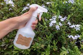 Experts recommend the best fertilizers for all kinds of houseplants like sansevierias, zz plants, cacti, succulents, african violets, and orchids, from brands different fertilizers offer different ratios, which can make it confusing to choose what's best for your plants. Choose The Right Flower Fertilizer Type