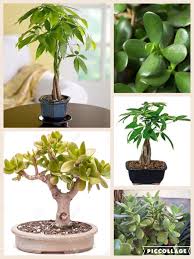 Pin On Feng Shui