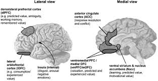 Swine flu can produce a number of symptoms in both adults and children. Individual Consumer Decision Making And Behavior Part I The Cambridge Handbook Of Consumer Psychology