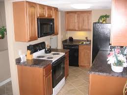 Small kitchen cabinet designs with design ideas youtube cabinets. Modern Small Kitchen Design Ideas Philippines